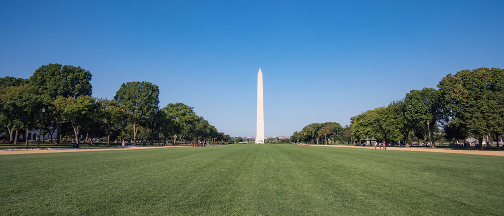 5 Things to do in Washington, DC